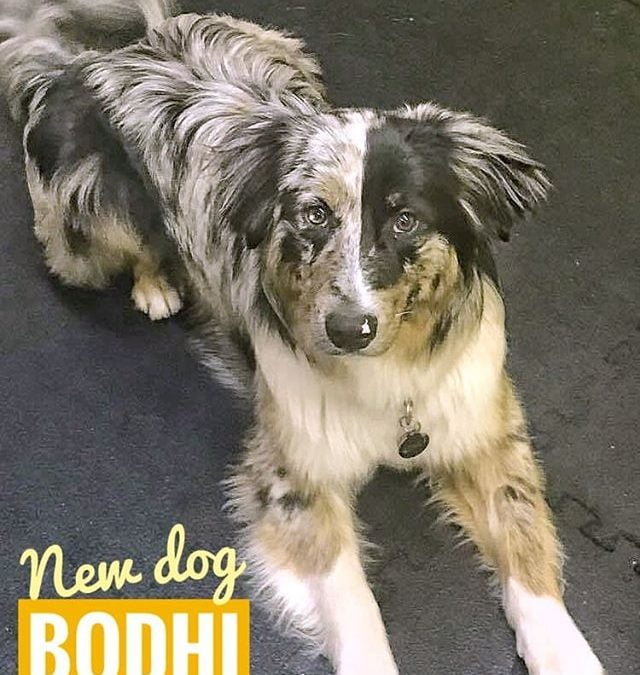 First day of daycare for Bodhi