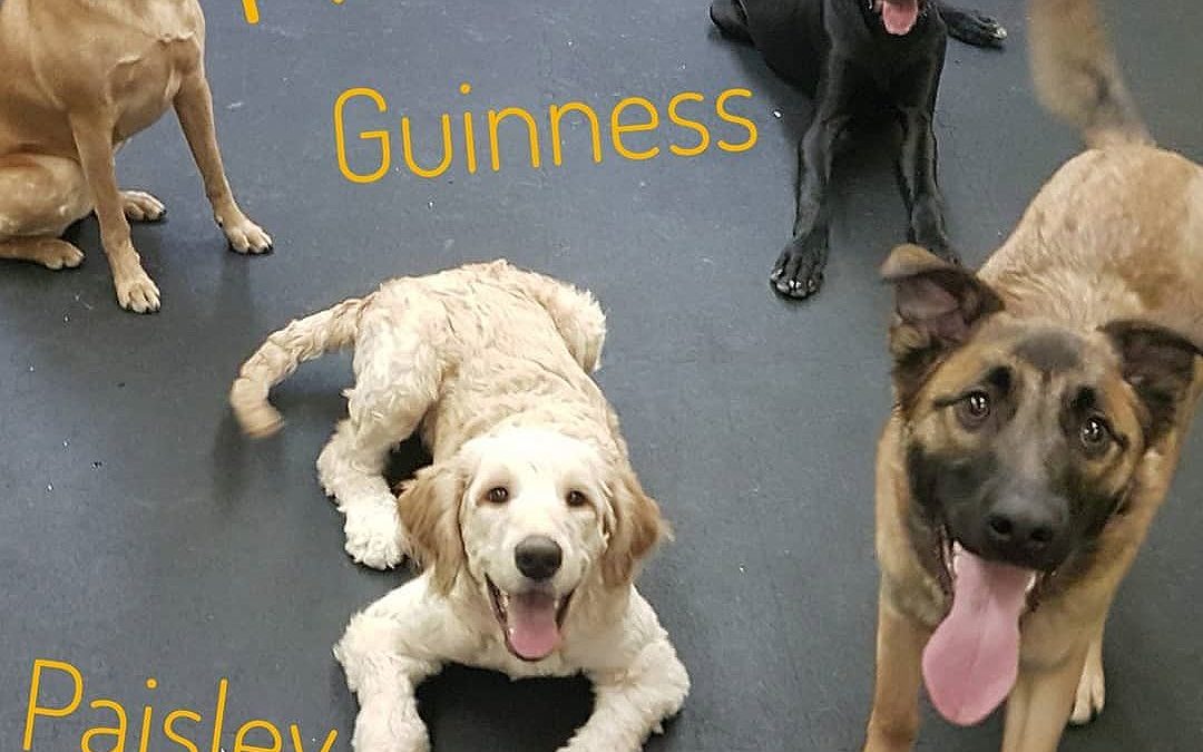 Four Friendly, Fantastic Friends