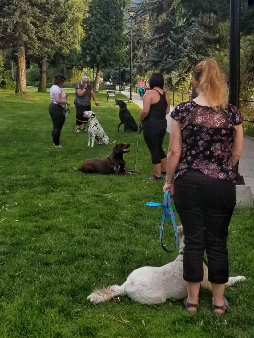 Good Dog Level 1 Dog Training Classes Barks and Rec Trail BC Good Dog Level 1 Dog Training Classes Barks and Rec Trail BC