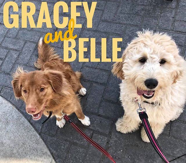 Gracey and Belle