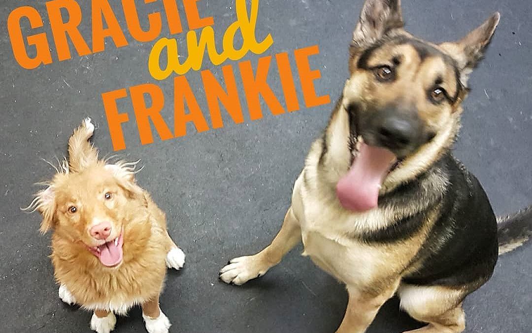 Gracie and Frankie smiles