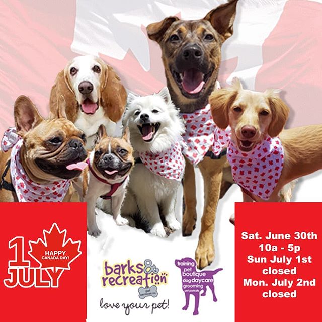 Happy Canada Day from all the staff of Barks and Recreation