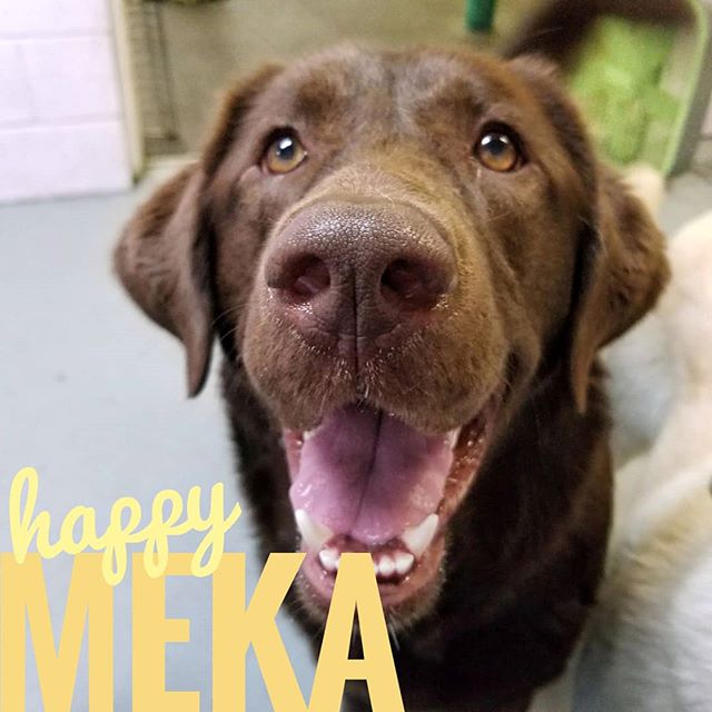 Happy Mika’s smiling face