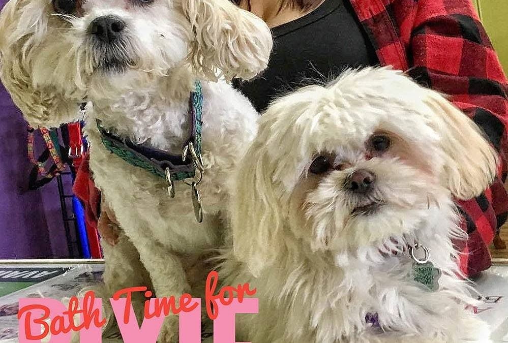 It was bath time for Pixie