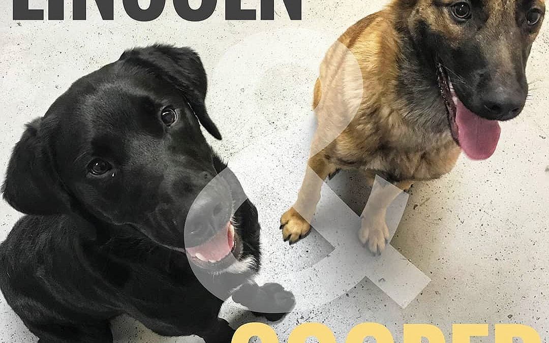 It was Cooper’s second day