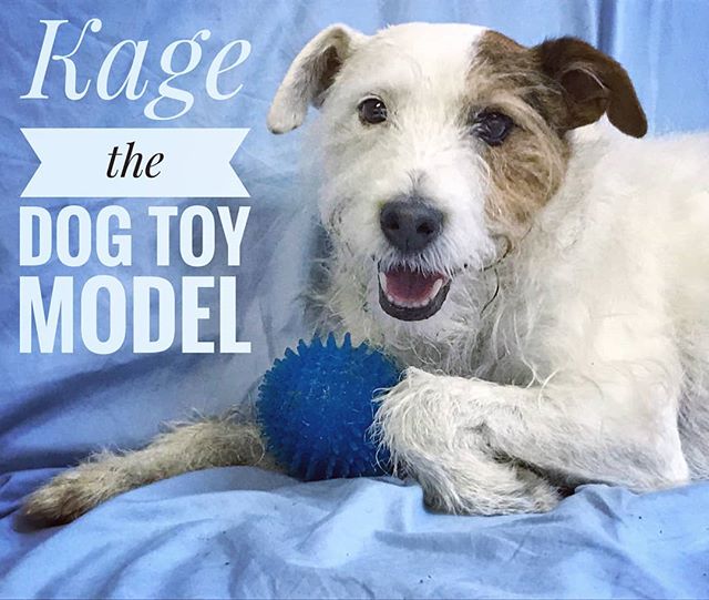 Kage is working on a new career as a model