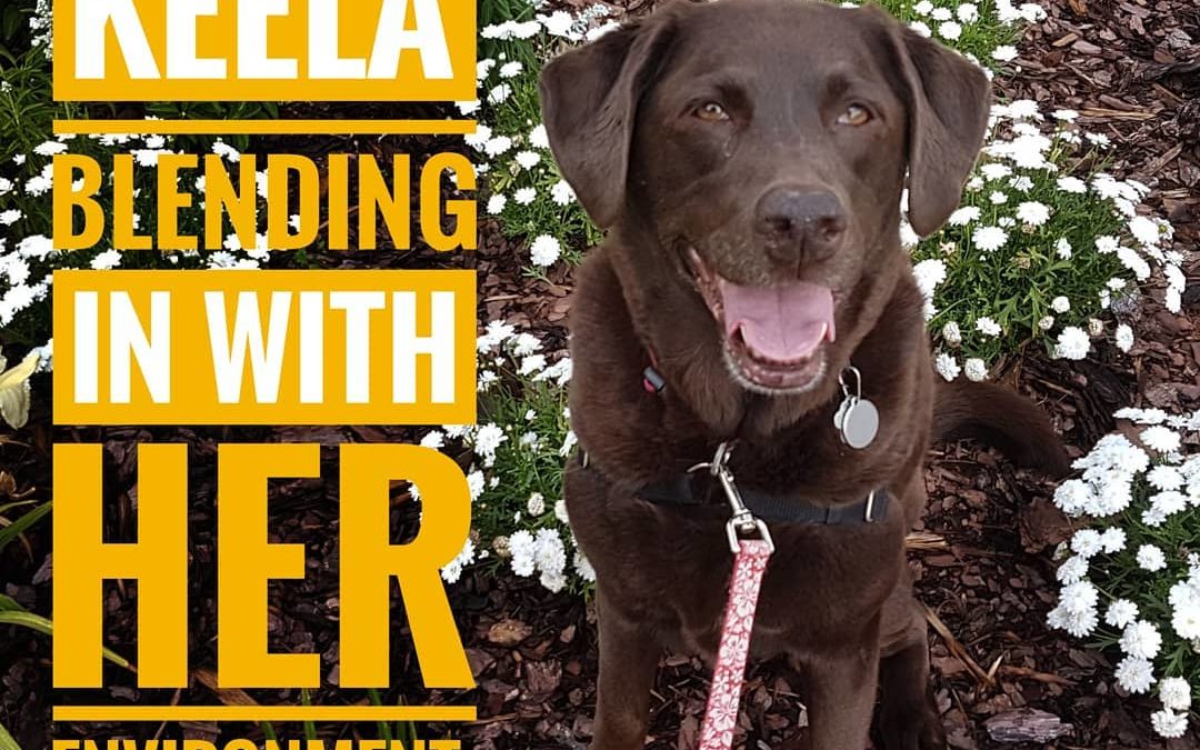 Keela is working on her natural Camoflage