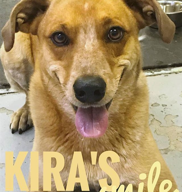 Kira’s Smile During the summer months our daycare will be open on a limited schedule Tues, Weds, and Thurs 8am – 5:45pm