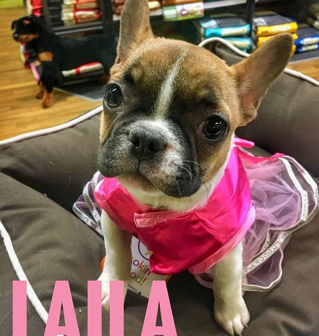 Laila had great fun at daycare