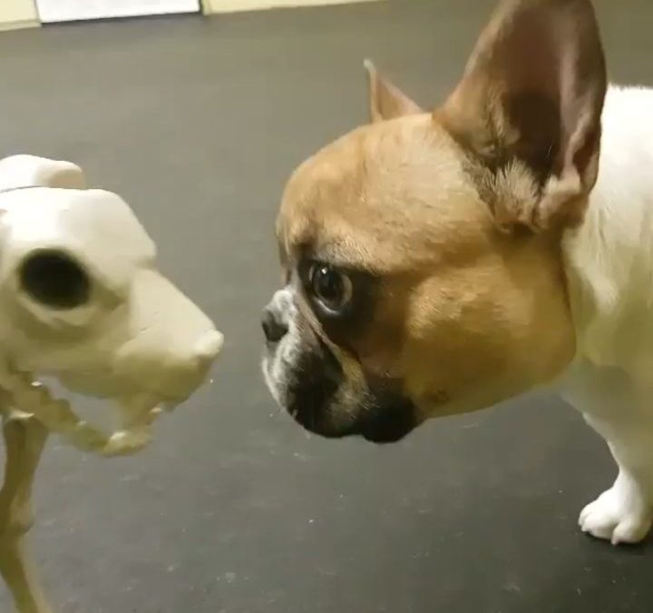 Laila loves her new daycare friend