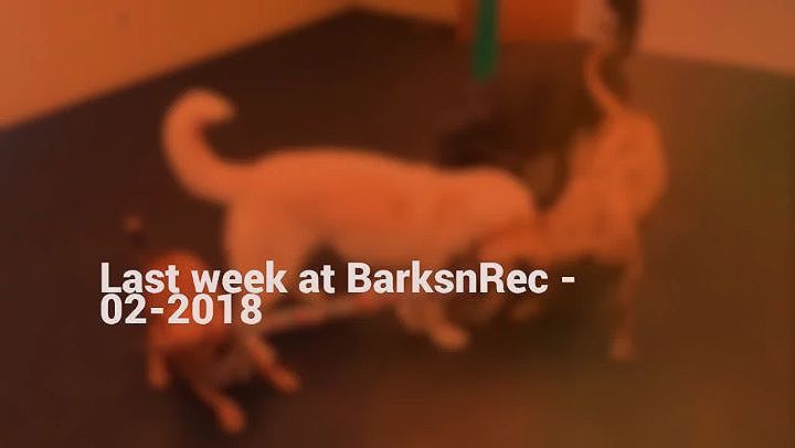 Last week selection of video and photo clips