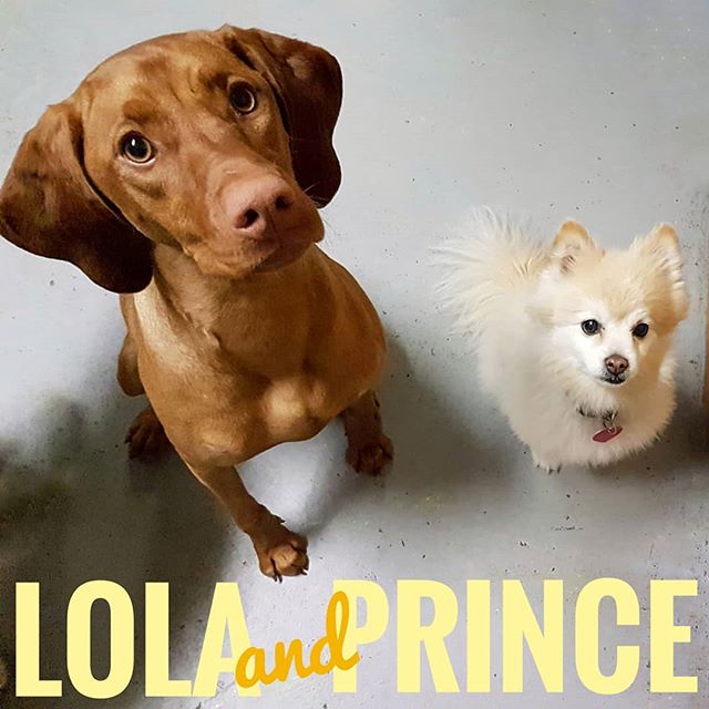 Lola and Prince