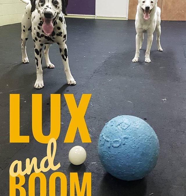 Lux and Boom