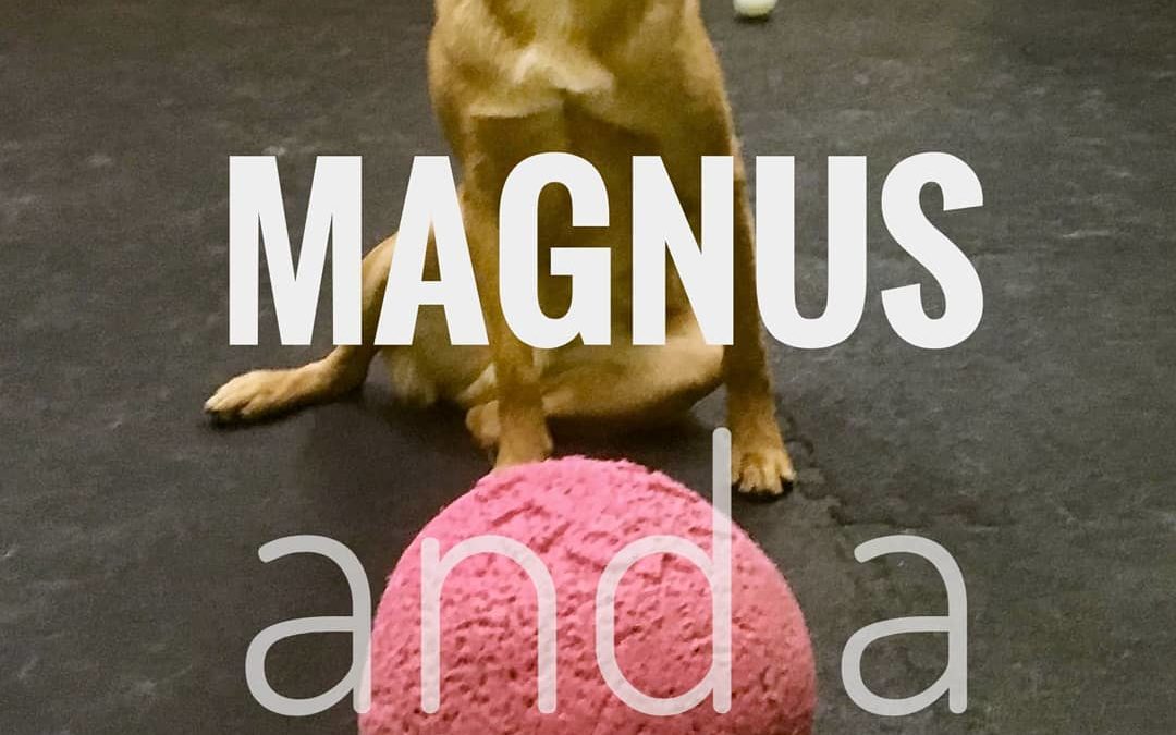 Magnus and a Jolly Ball