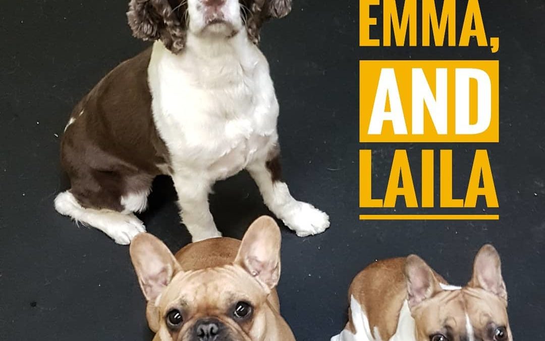 Molly, Emma, and Laila loving the camera