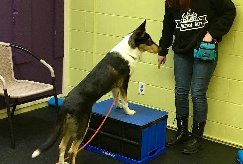 More great moment from Tricks Class