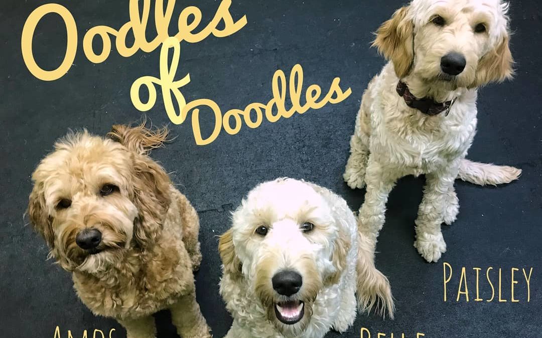 Oodles of Doodles in daycare