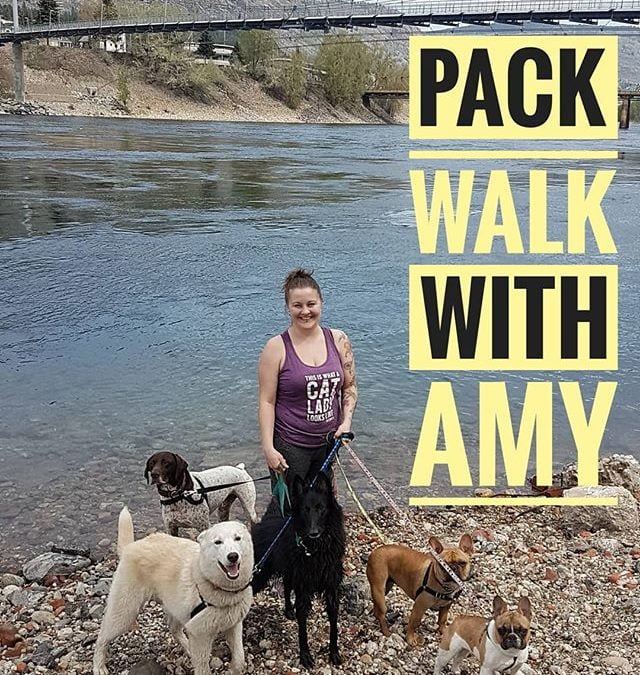 Pack walk with Amy