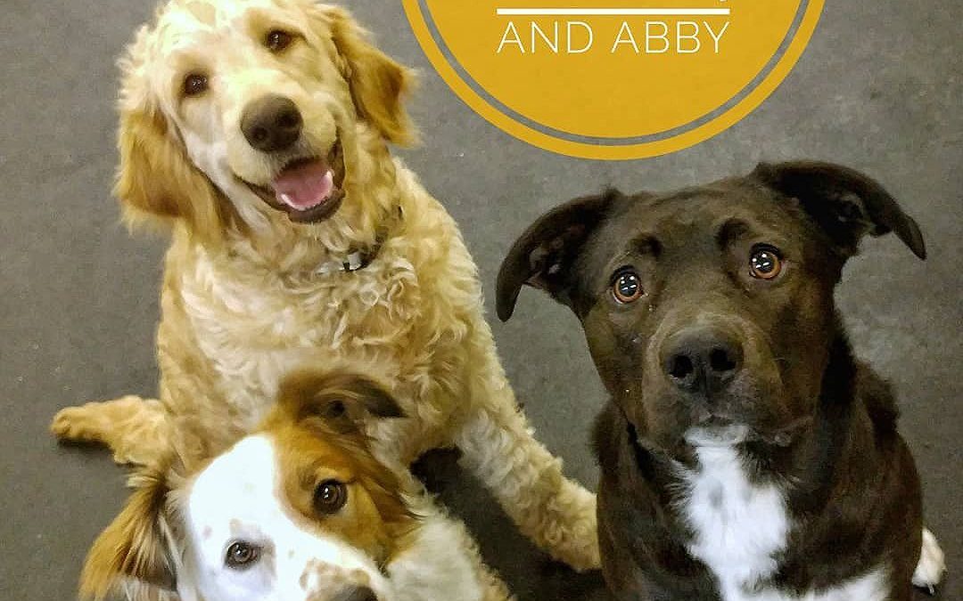 Paisley, Luna, and Abby