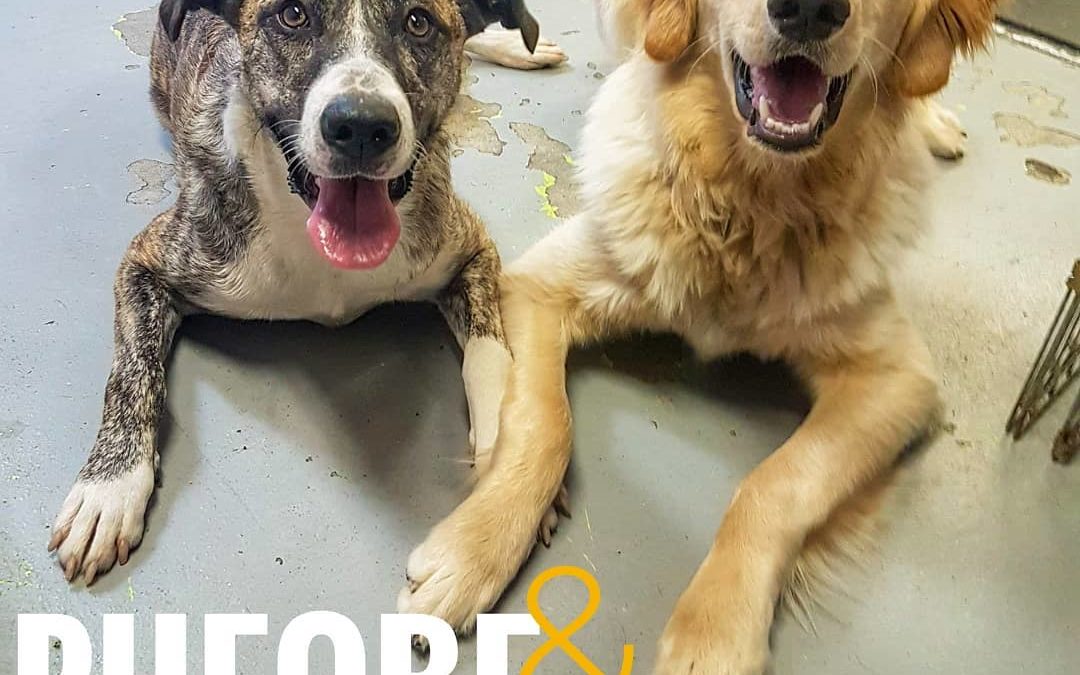 Phoebe and Charlie enjoying storytime in the daycare