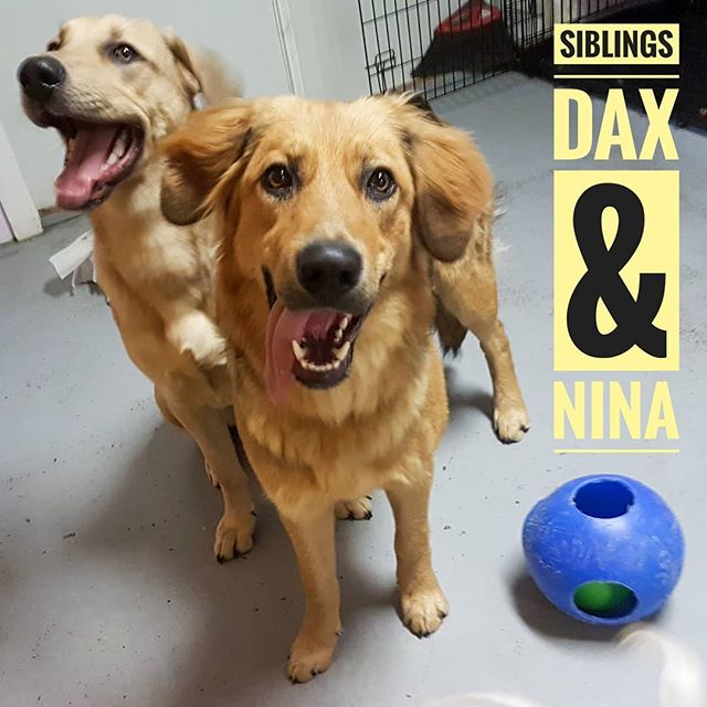 Siblings Dax and Nina