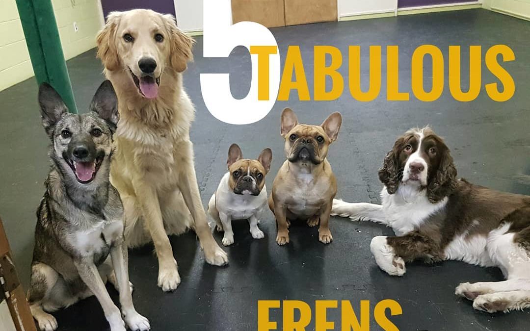 The Five-tabulous Frens