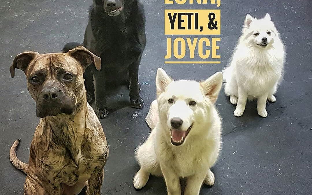 There’s smiling, and then there’s Joyce