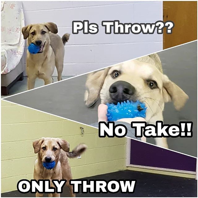 This is a constant scenario in our daycare