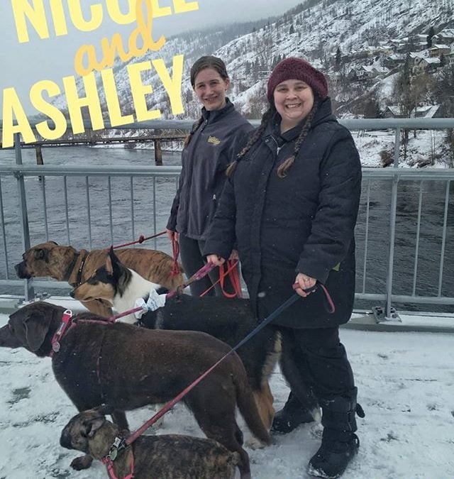 Two of our trainers out walking the daycare dogs
