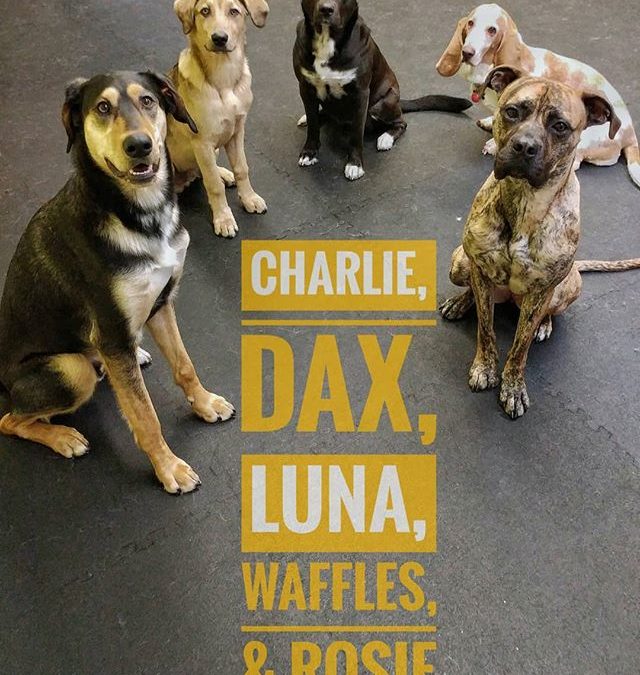 We love our jobs because of the view