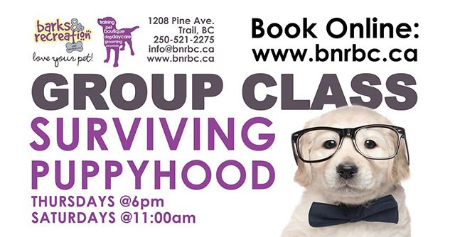 We now have two puppy classes available
