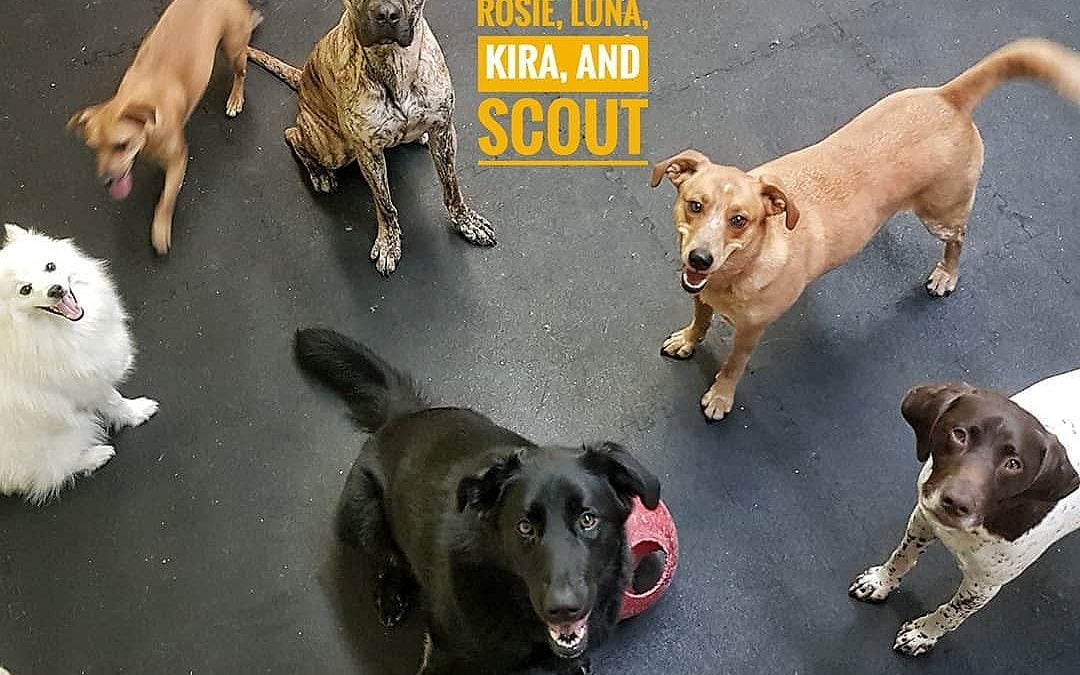 We’ve got so many best friends each day, every day