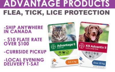Advantage Flea, Tick, and Lice Products Available at Barks and Rec