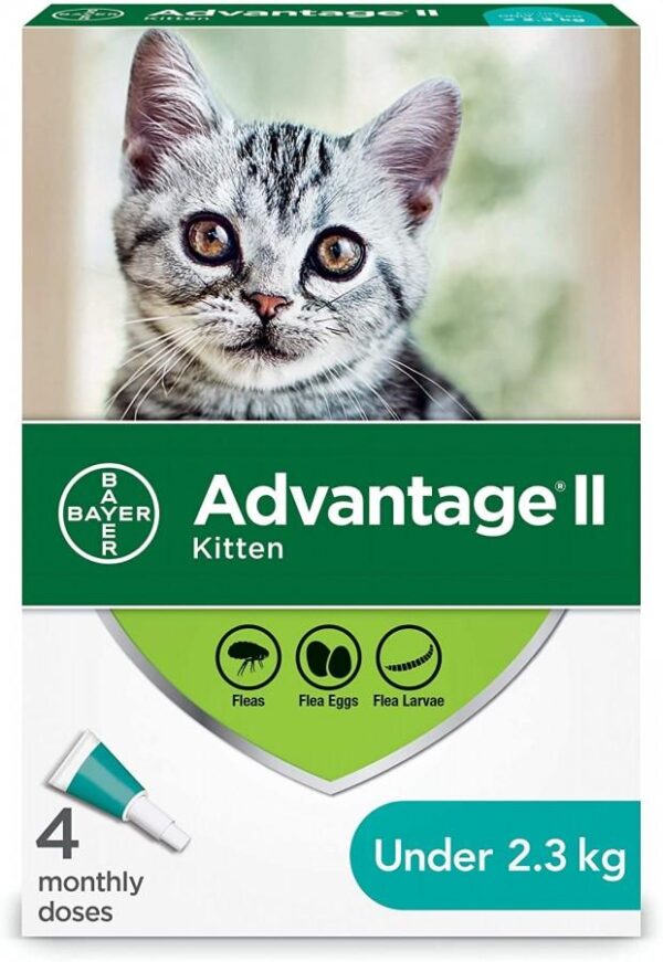 Bayer - Advantage® II Kitten Once-A-Month Topical Flea Treatment - Under 2.3 kg