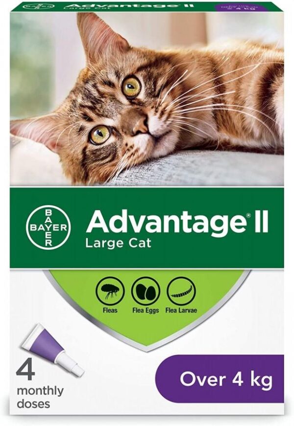Bayer - Advantage® II Large Cat Once-A-Month Topical Flea Treatment - Over 4 kg - 4 Doses