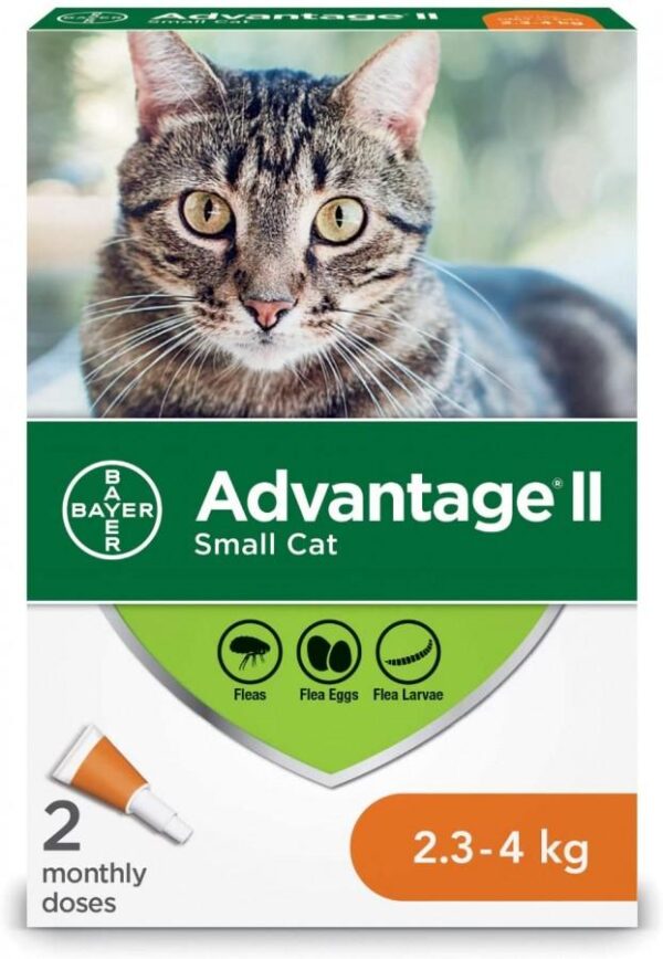 Bayer - Advantage® II Small Cat Once-A-Month Topical Flea Treatment - 2.3 to 4 kg - 2 Doses