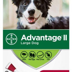 Bayer - K9 Advantage® II Large Dog Once-A-Month Topical Flea Treatment - 11 to 25 kg - 2 Dose