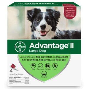 Bayer - K9 Advantage® II Large Dog Once-A-Month Topical Flea Treatment - 11 to 25 kg - 4 Doses