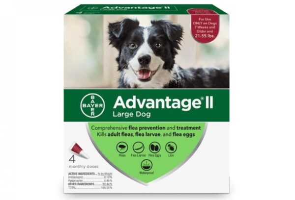 Bayer - K9 Advantage® II Large Dog Once-A-Month Topical Flea Treatment - 11 to 25 kg - 4 Doses