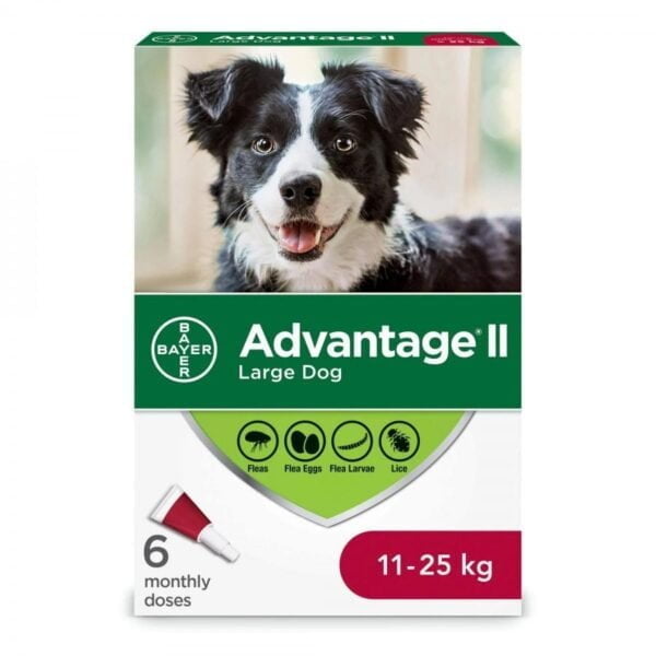 Bayer - K9 Advantage® II Large Dog Once-A-Month Topical Flea Treatment - 11 to 25 kg - 6 Dose