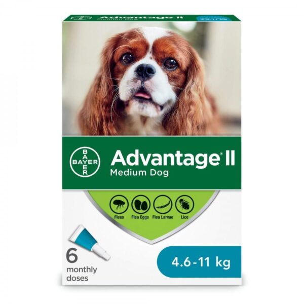 Bayer - K9 Advantage® II Medium Dog Once-A-Month Topical Flea Treatment - 4.6 to 11 kg - 6 Doses