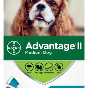Bayer - K9 Advantage® II Small Dog Once-A-Month Topical Flea Treatment - 4.6 to 11 kg - 2 Dose
