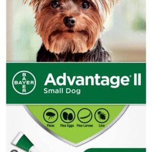 Bayer - K9 Advantage® II Small Dog Once-A-Month Topical Flea Treatment - Under 4.5 kg - 2 Dose
