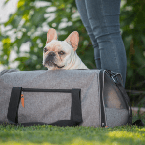 Be One Breed - Pet Carrier Grey - XLarge 53x30x27cm (12x12x11in)