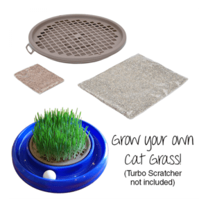 Coastal - Turbo Cat Grass Insert - 25.4cm (10in)