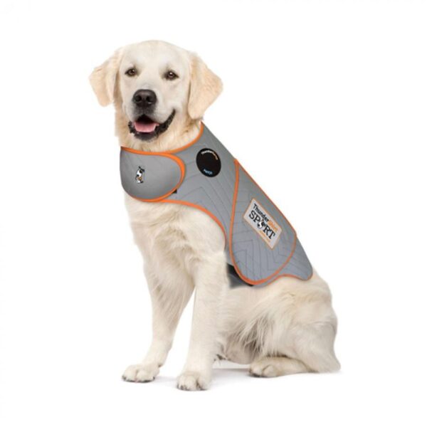 Thunderworks - Thundershirt - Sport Platinum Anxiety Solution for Dogs - XLarge