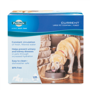 Petsafe - Current Fountain - Forest - Large