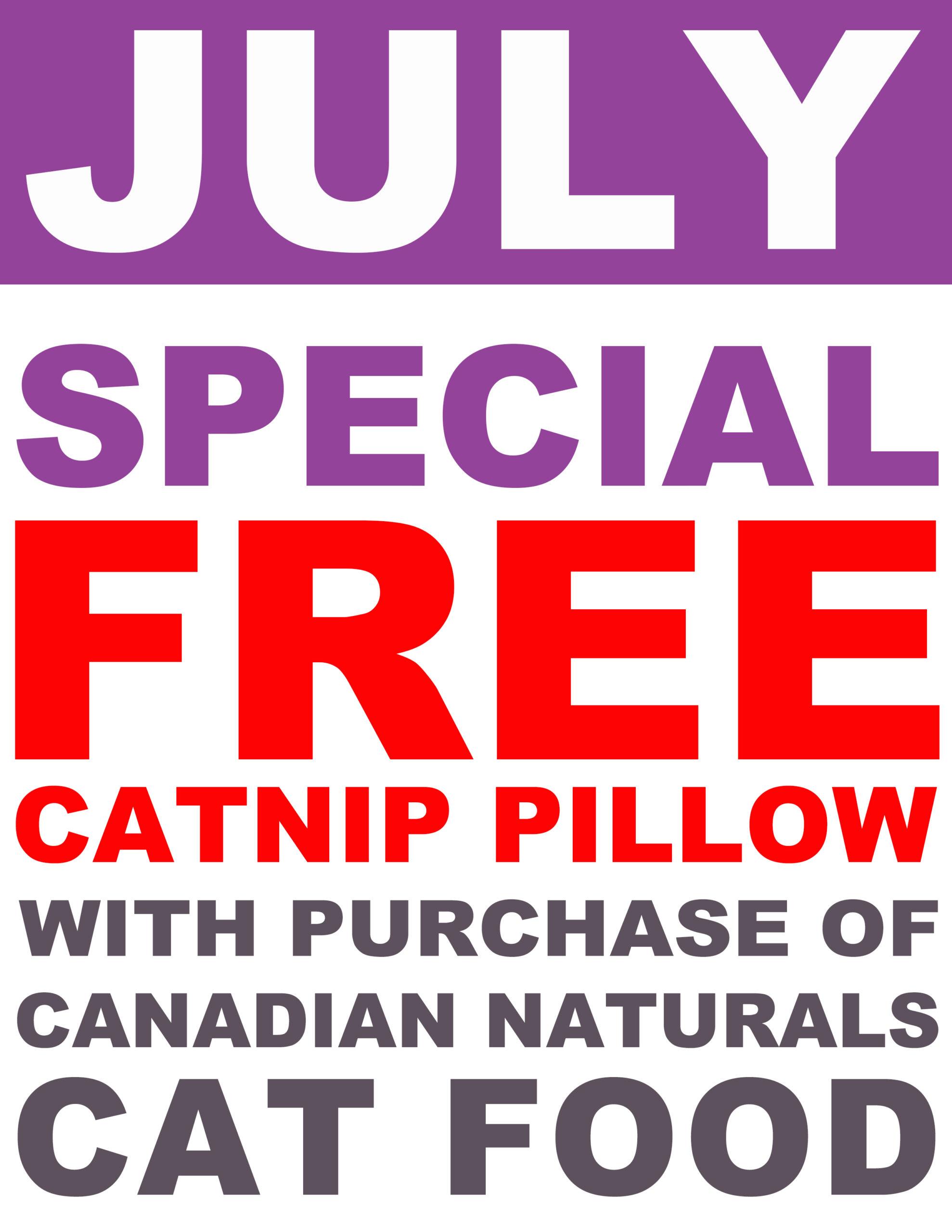 2022 - July Sale - Can Nat Free Cat Pillow