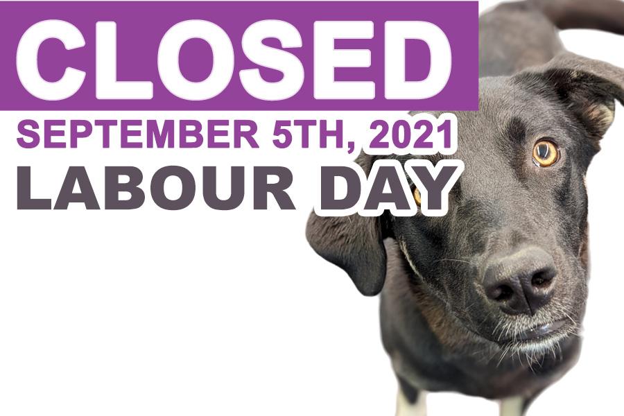 Barks and Recreation in Trail, BC will be closed Labour Day