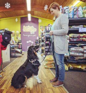 Sarah Dixon and Cash Dog Training Barks and Recreation